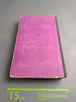 Господин из Стамбула