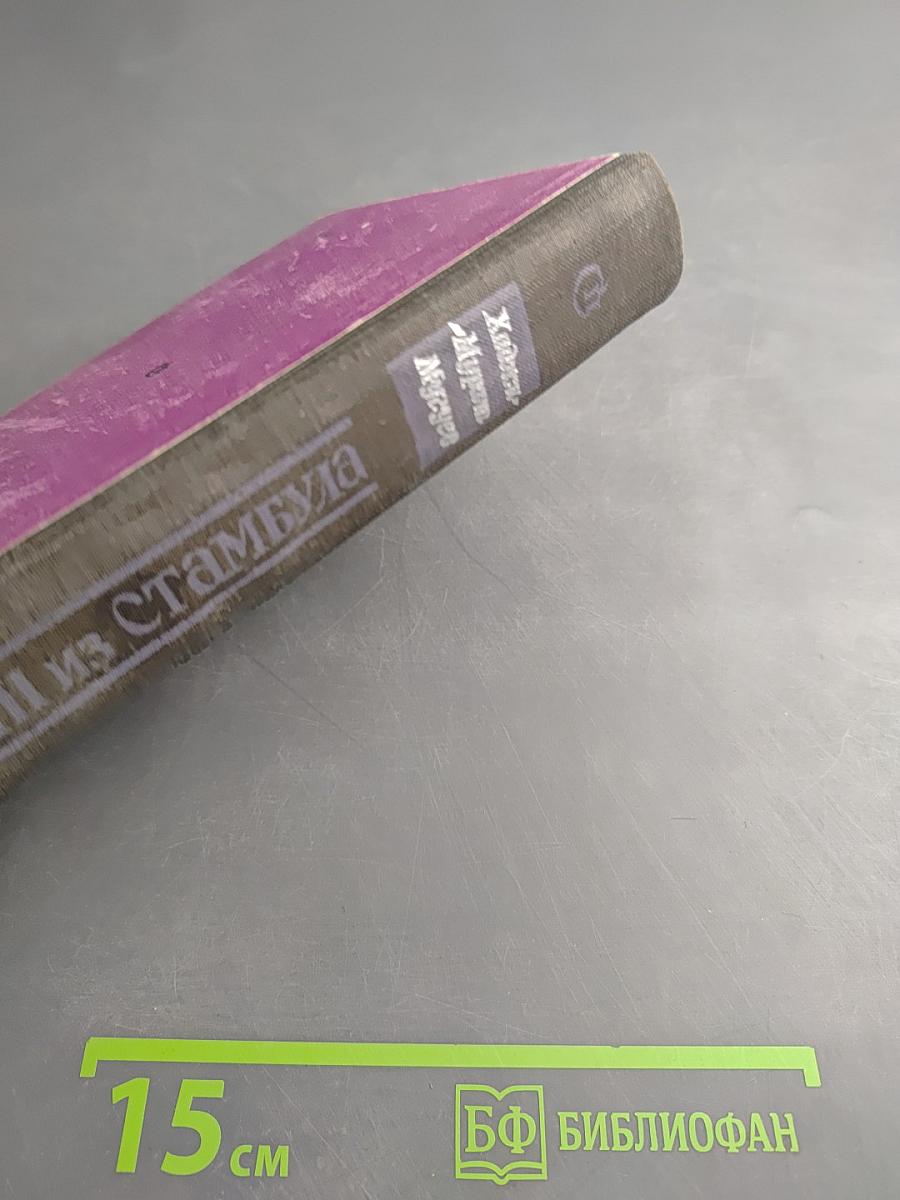 Господин из Стамбула