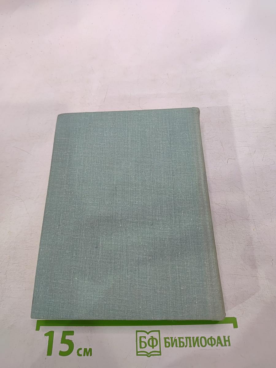 Витязь чести