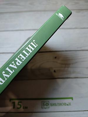 Литература. Учебник для 6 класса. В двух частях. Часть 1