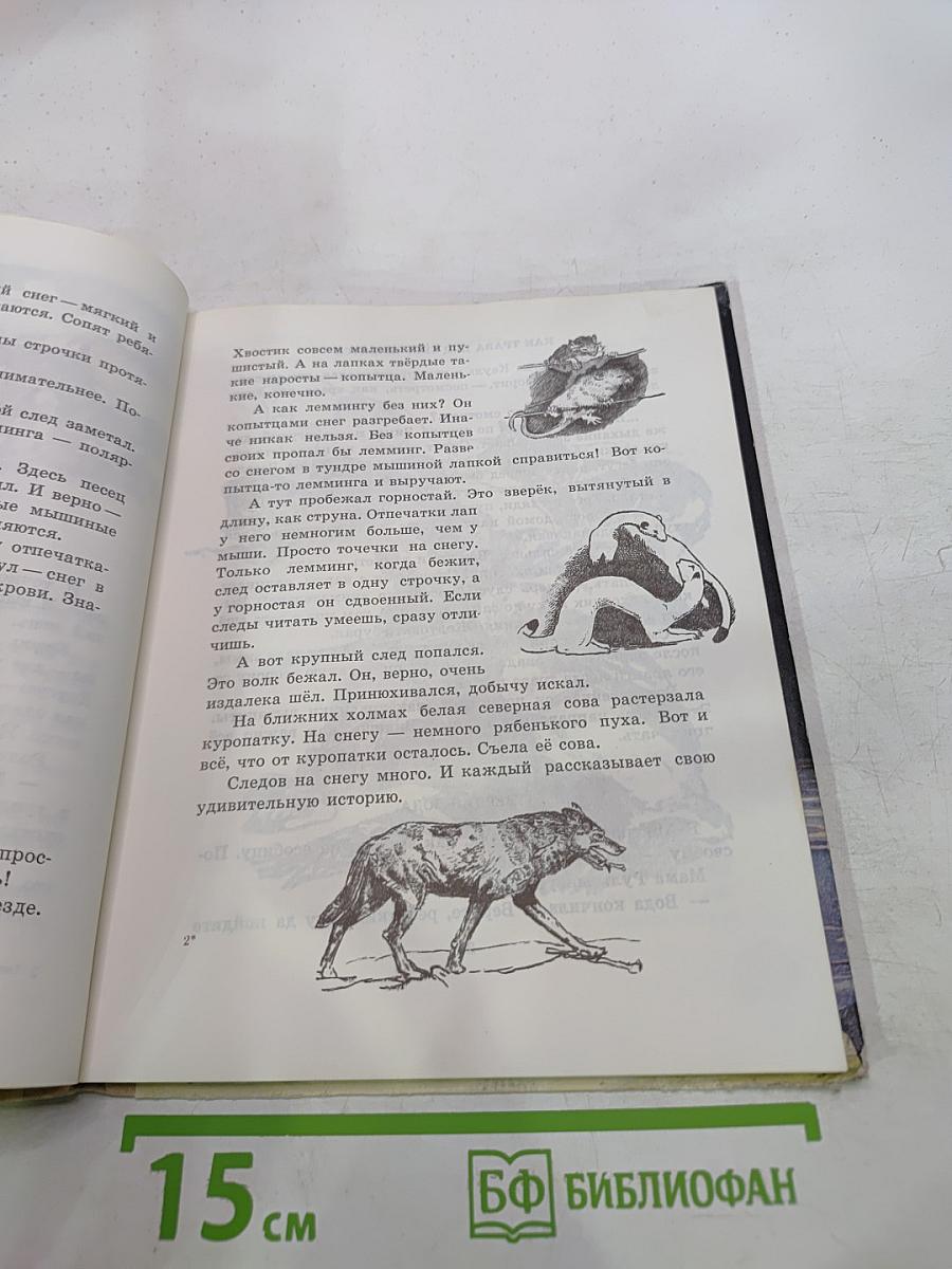 Твоя Арктика