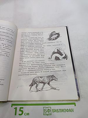 Твоя Арктика