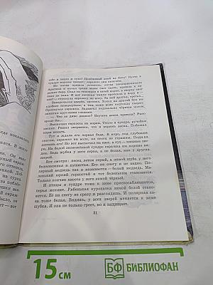 Твоя Арктика