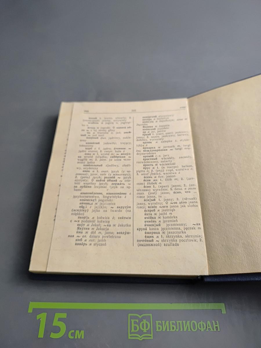 Русско-польский словарь