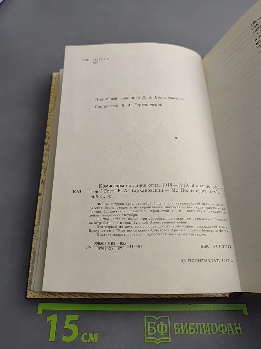Комиссары на линии огня. 1918-1919. В кольце фронтов