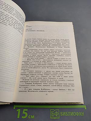 Комиссары на линии огня. 1918-1919. В кольце фронтов