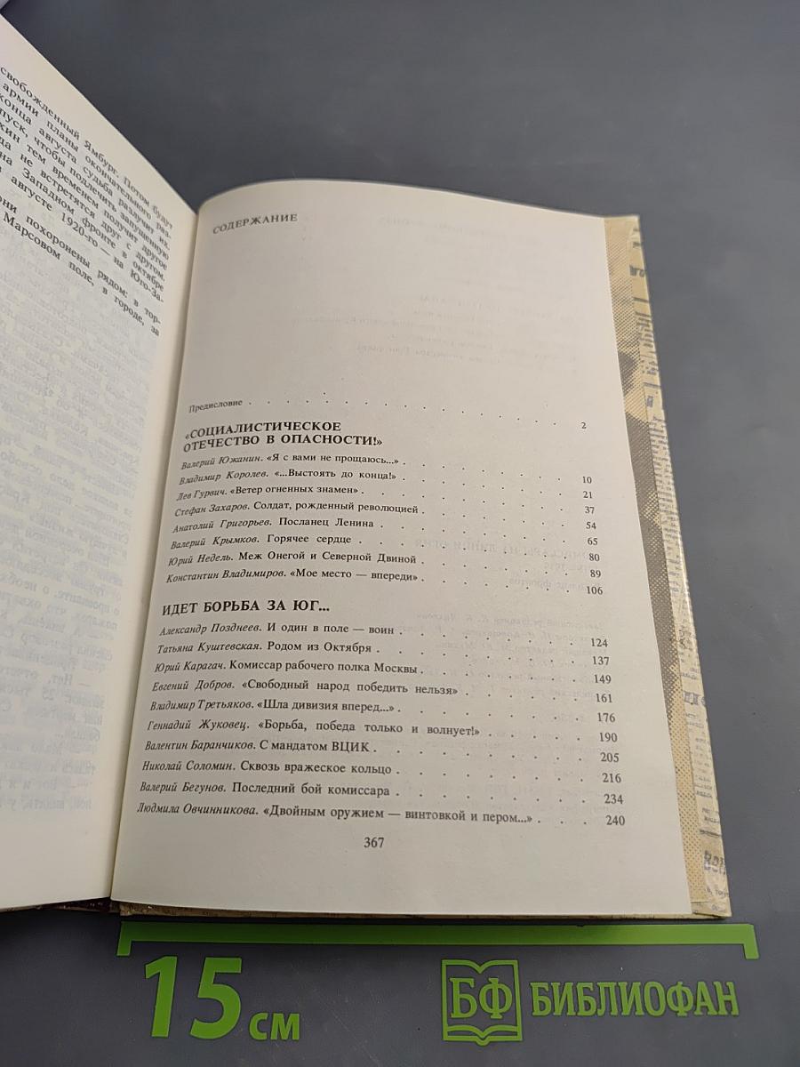 Комиссары на линии огня. 1918-1919. В кольце фронтов