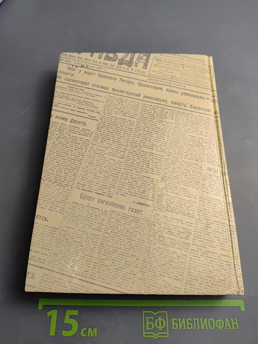 Комиссары на линии огня. 1918-1919. В кольце фронтов