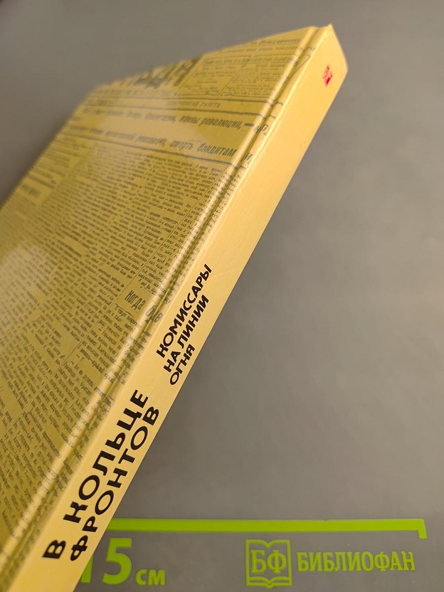 Комиссары на линии огня. 1918-1919. В кольце фронтов
