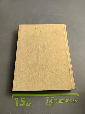 Главная удача жизни