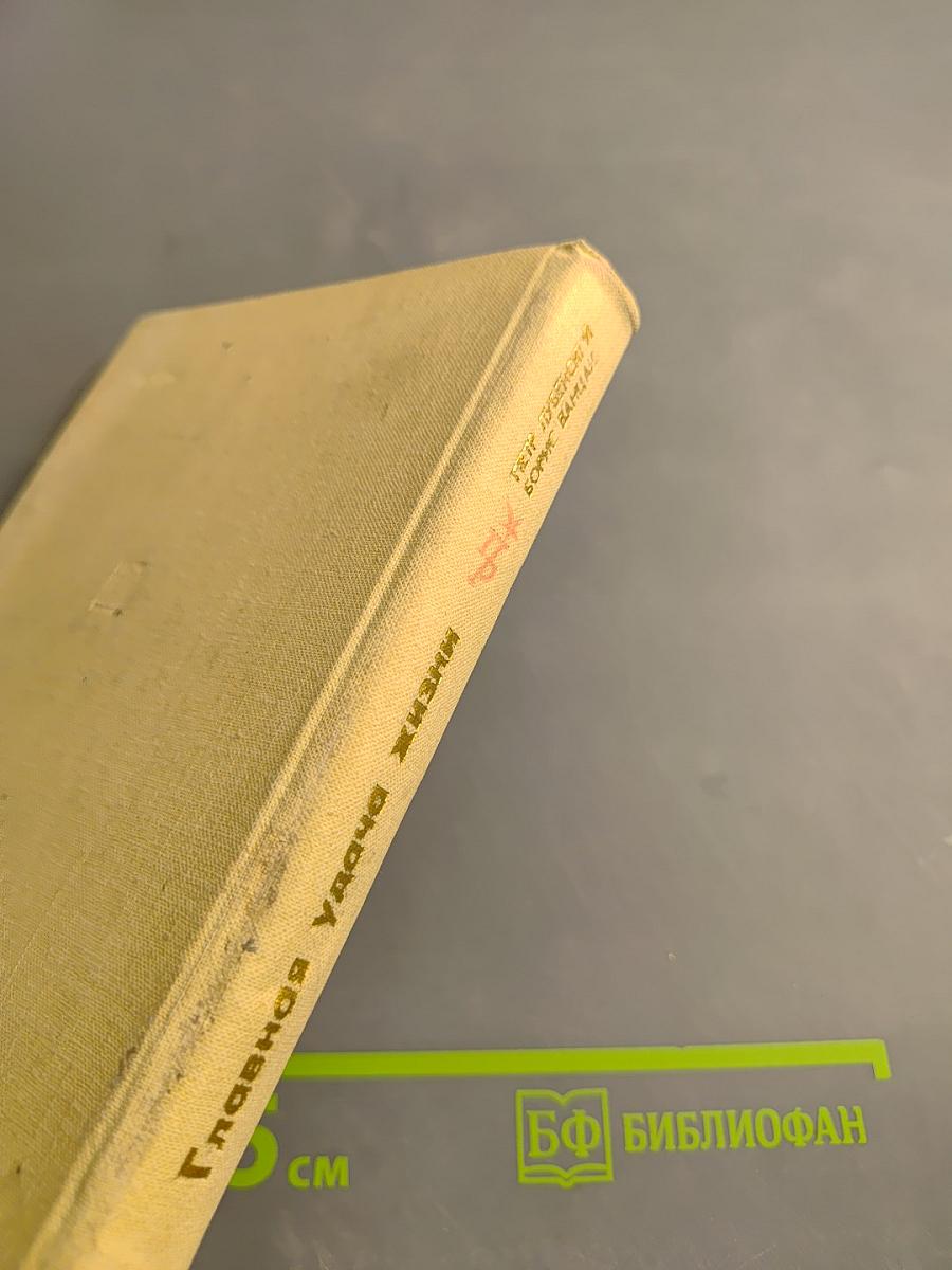 Главная удача жизни