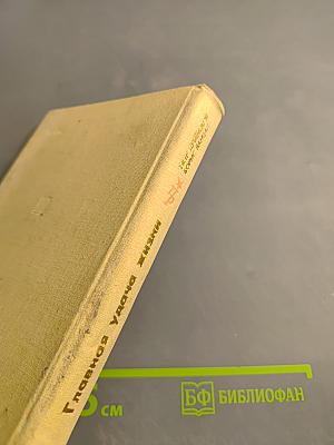 Главная удача жизни