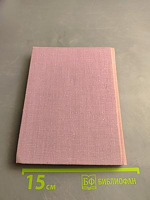 Полководец улицы