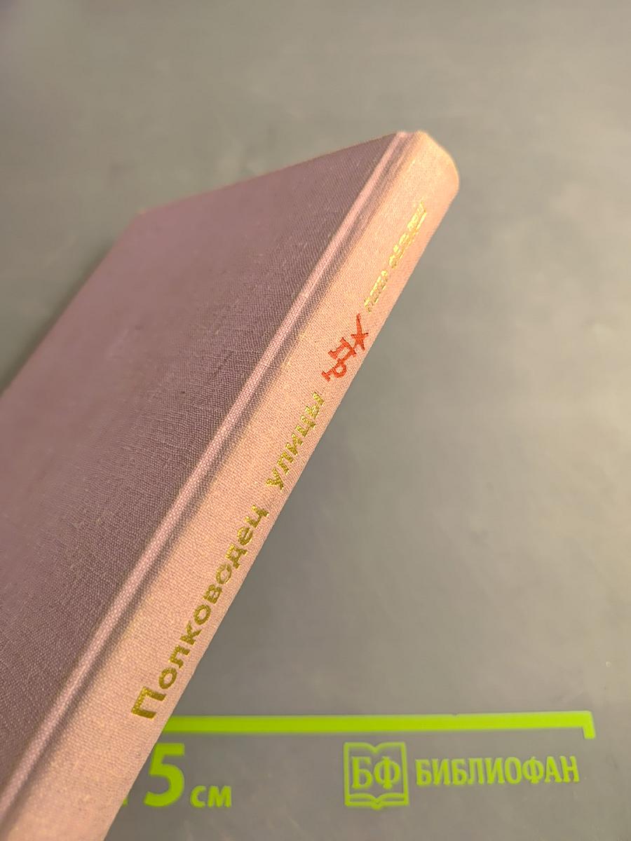 Полководец улицы