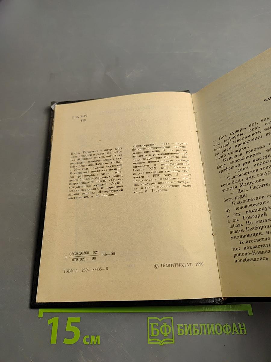 Примирения нет. Повесть о Дмитрии Писареве