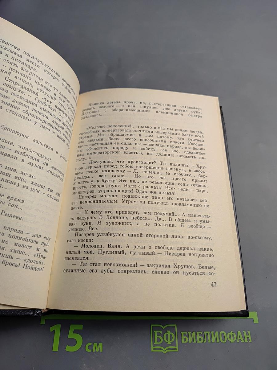 Примирения нет. Повесть о Дмитрии Писареве