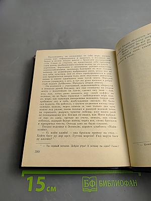 Примирения нет. Повесть о Дмитрии Писареве