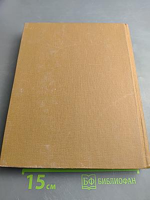 Древний Новгород