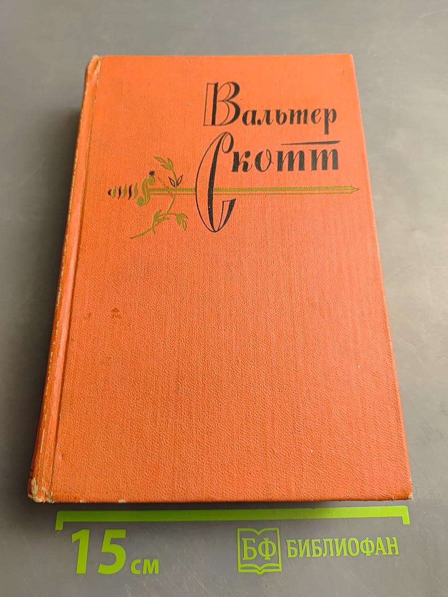 Пират (том двенадцатый)