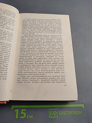 Пират (том двенадцатый)