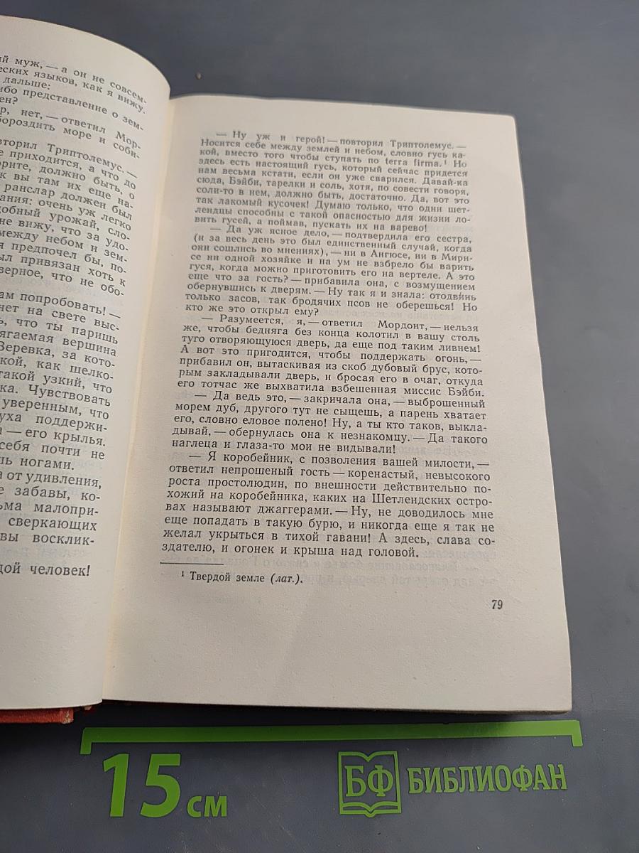 Пират (том двенадцатый)