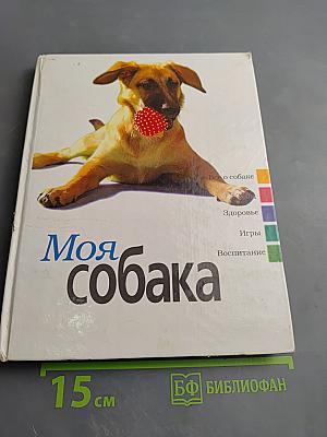 Моя собака