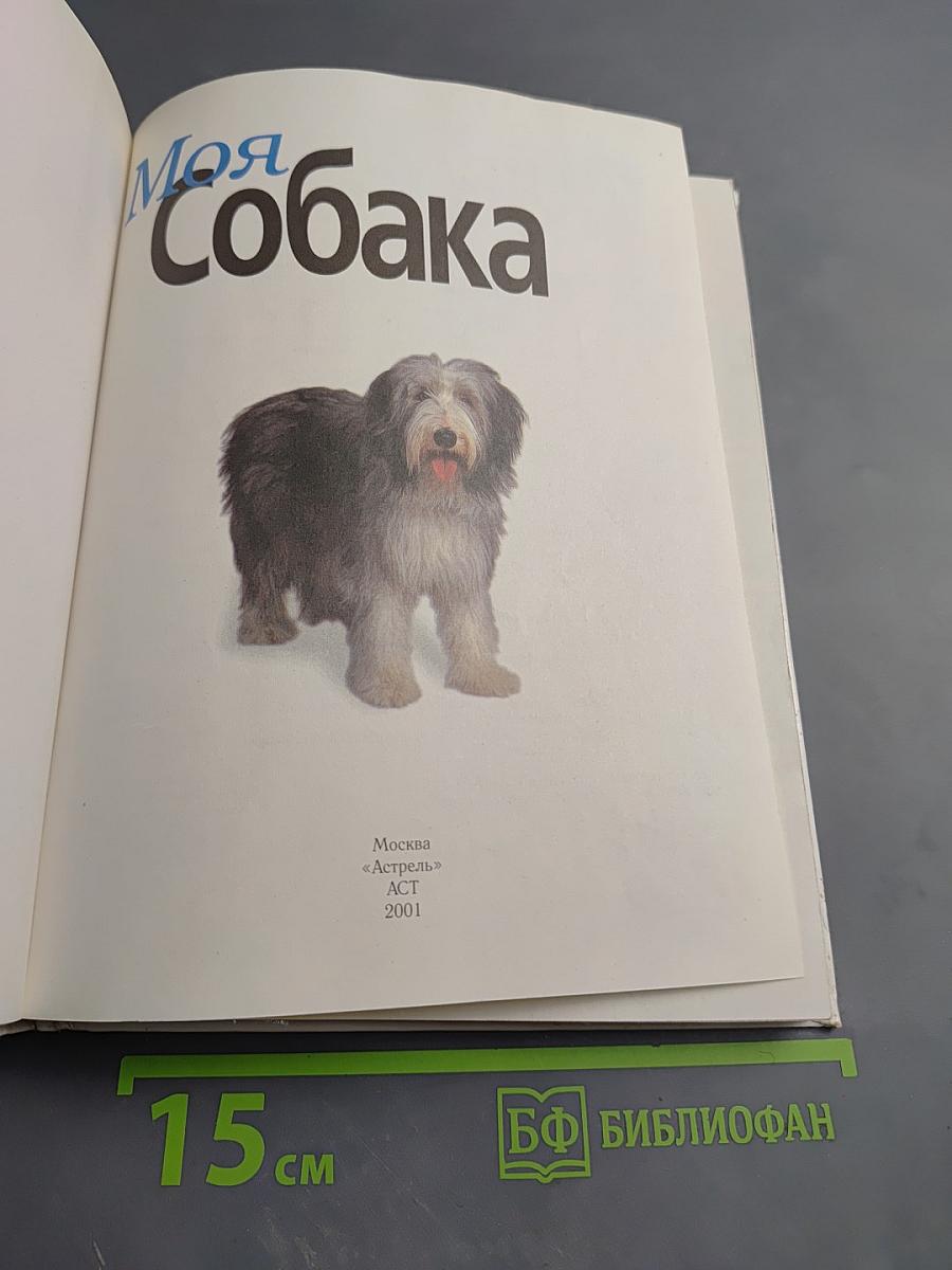 Моя собака