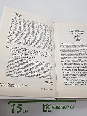 Русская литература XX века, 11 класс, Часть 1