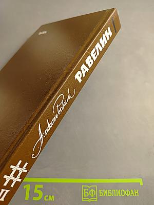 Алексеевский равелин. Секретная государственная тюрьма России в XIX веке. Книга II