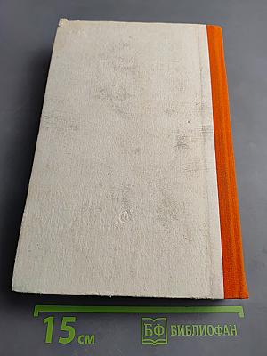 Человек и время. История человеческого становления