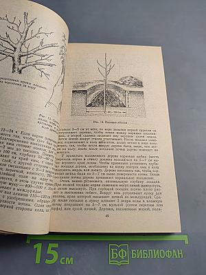 Приусадебное хозяйство, коллективное садоводство и огородничество