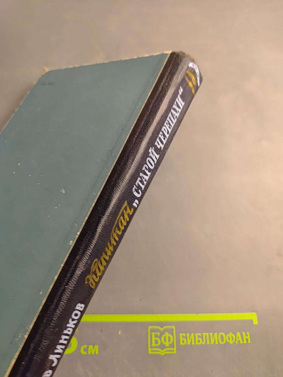 Капитан «Старой Черепахи». Повесть и Пограничные рассказы