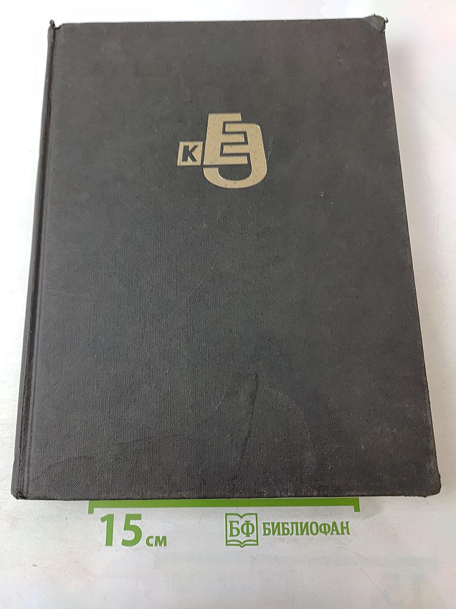 Краткая еврейская энциклопедия. Том 5