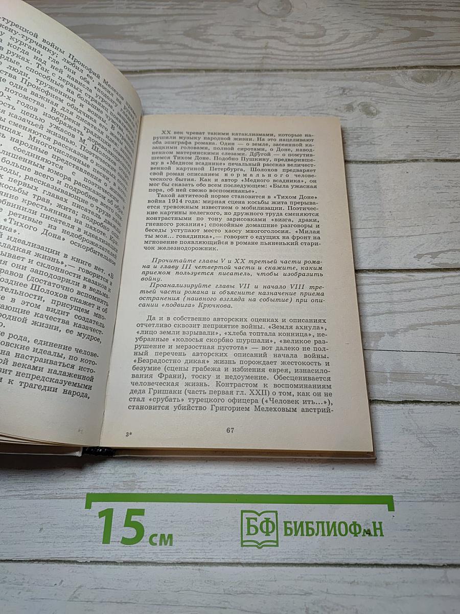 Русская литература XX века. 11 класс. Часть 2