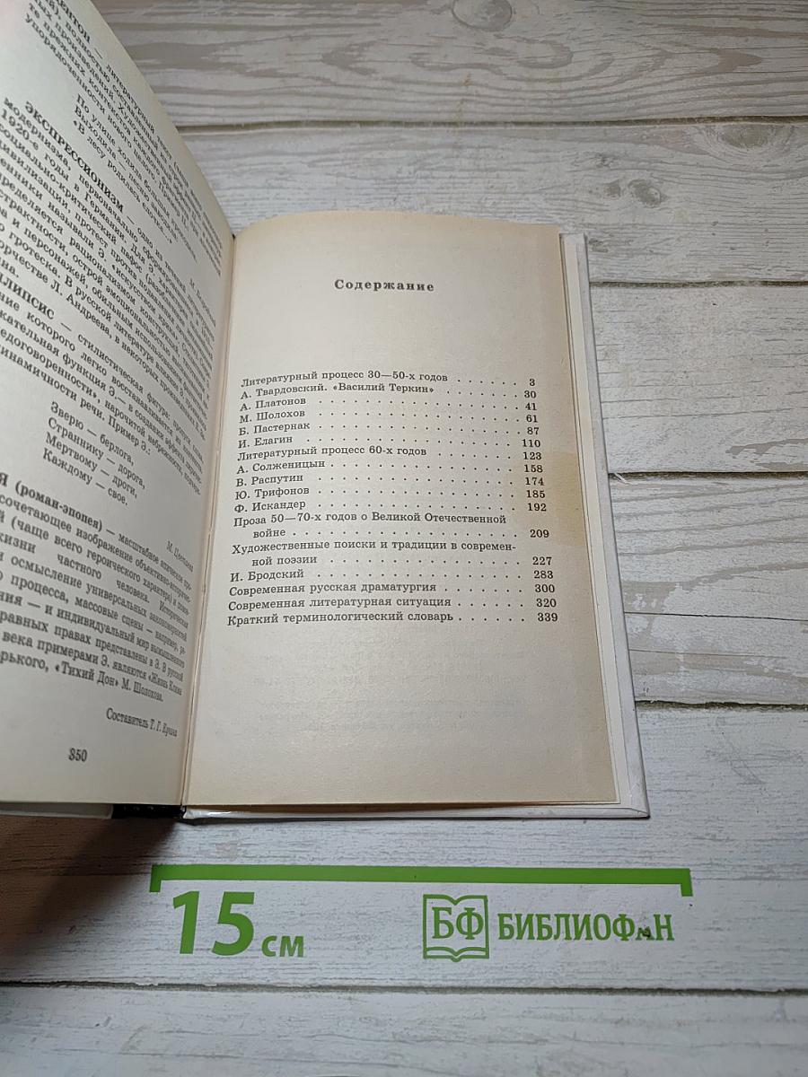 Русская литература XX века. 11 класс. Часть 2