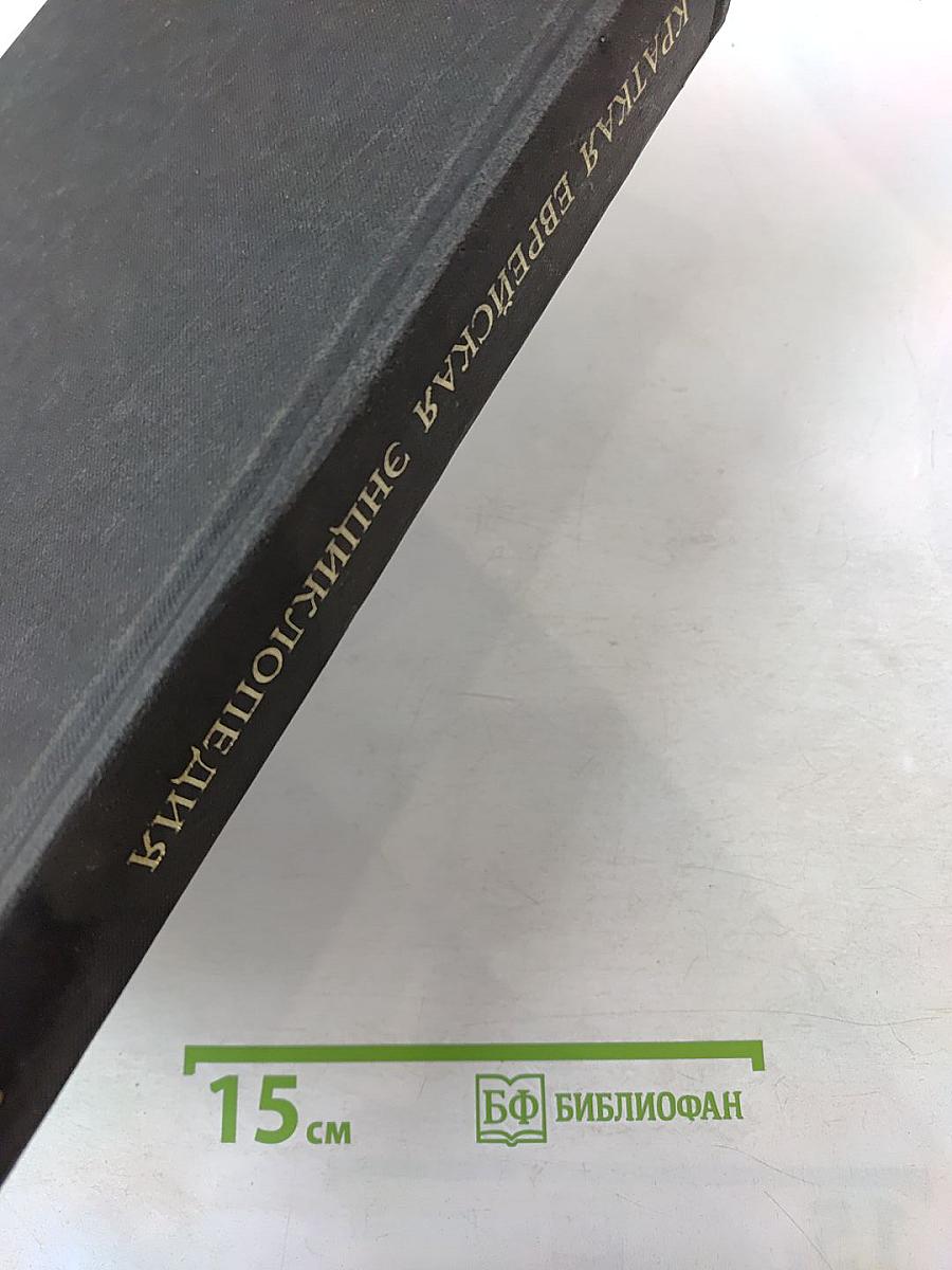 Краткая Еврейская Энциклопедия, Том 2