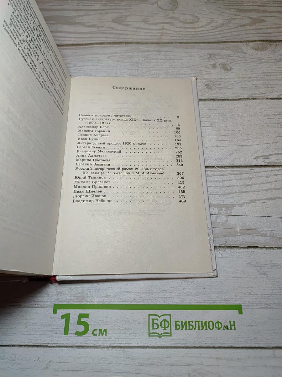 Русская литература XX века. 11 класс. Часть 1