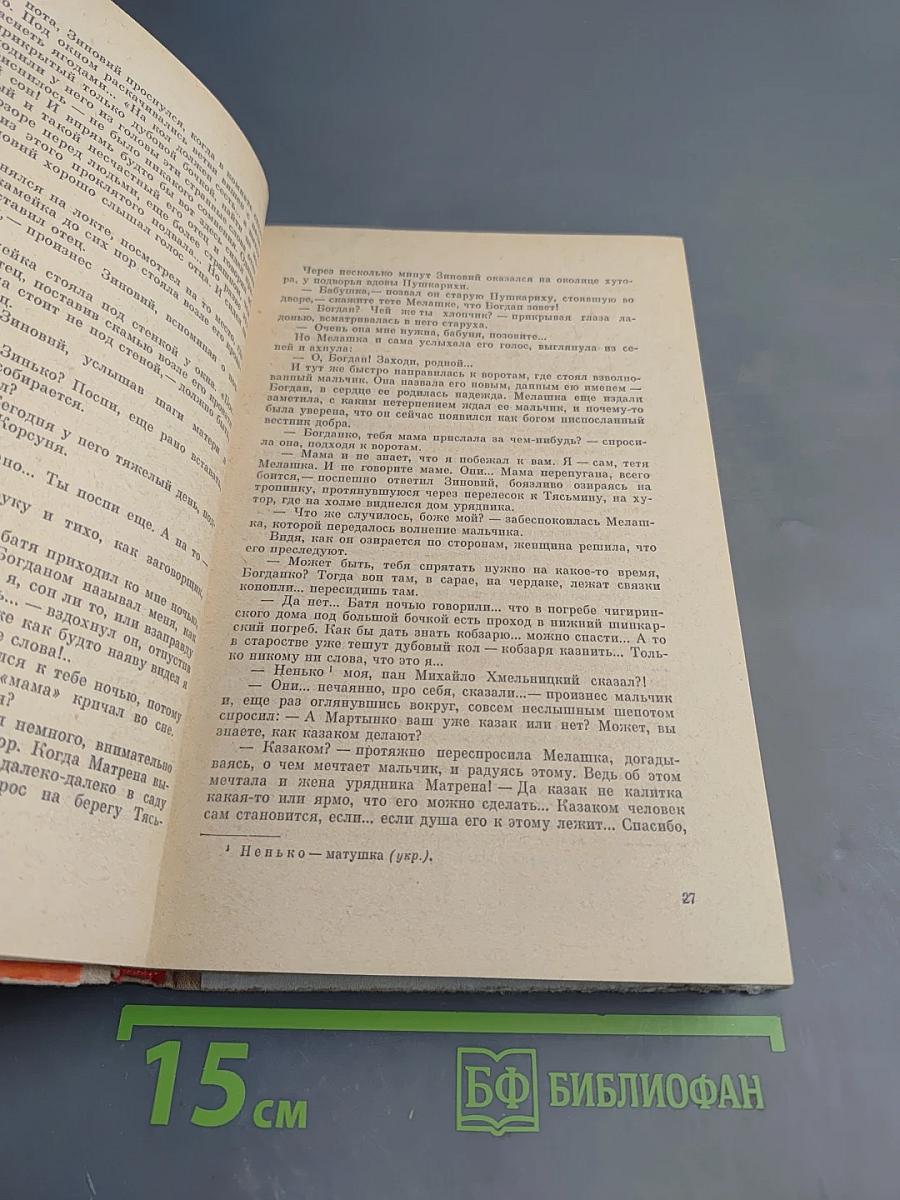 Хмельницкий, Книга первая