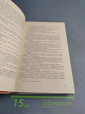 Хмельницкий, Книга первая