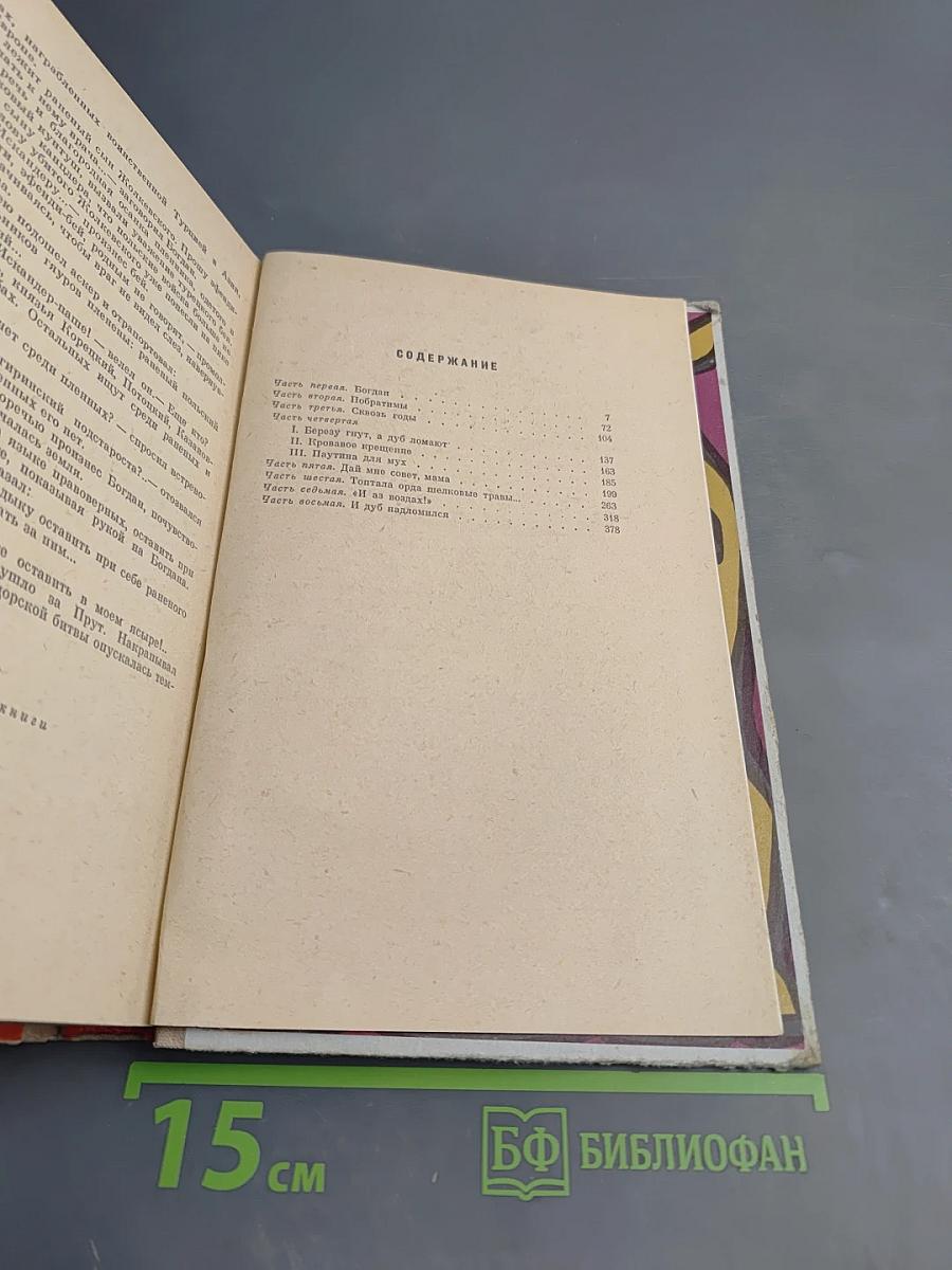 Хмельницкий, Книга первая