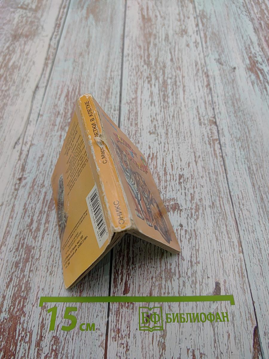 Детки в клетке