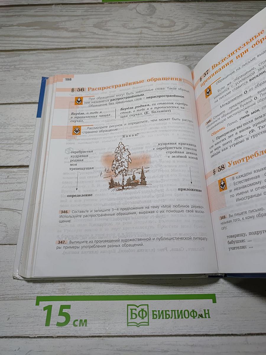 Русский язык 8 класс