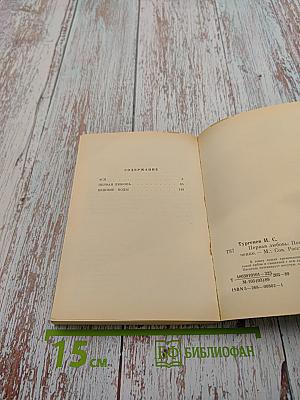 Первая любовь