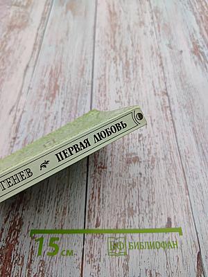 Первая любовь