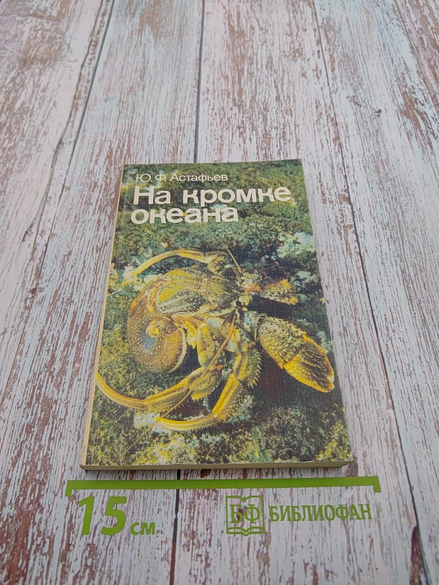 На кромке океана