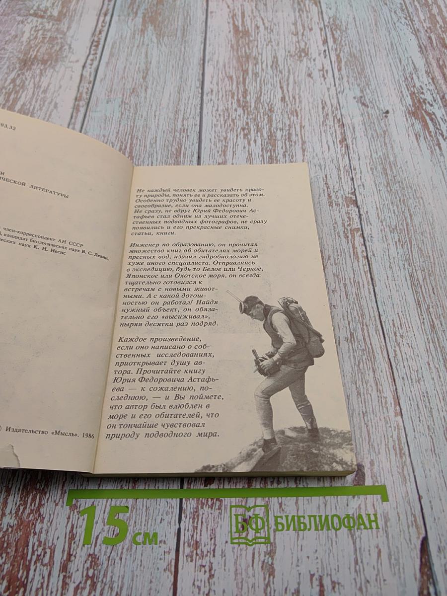 На кромке океана