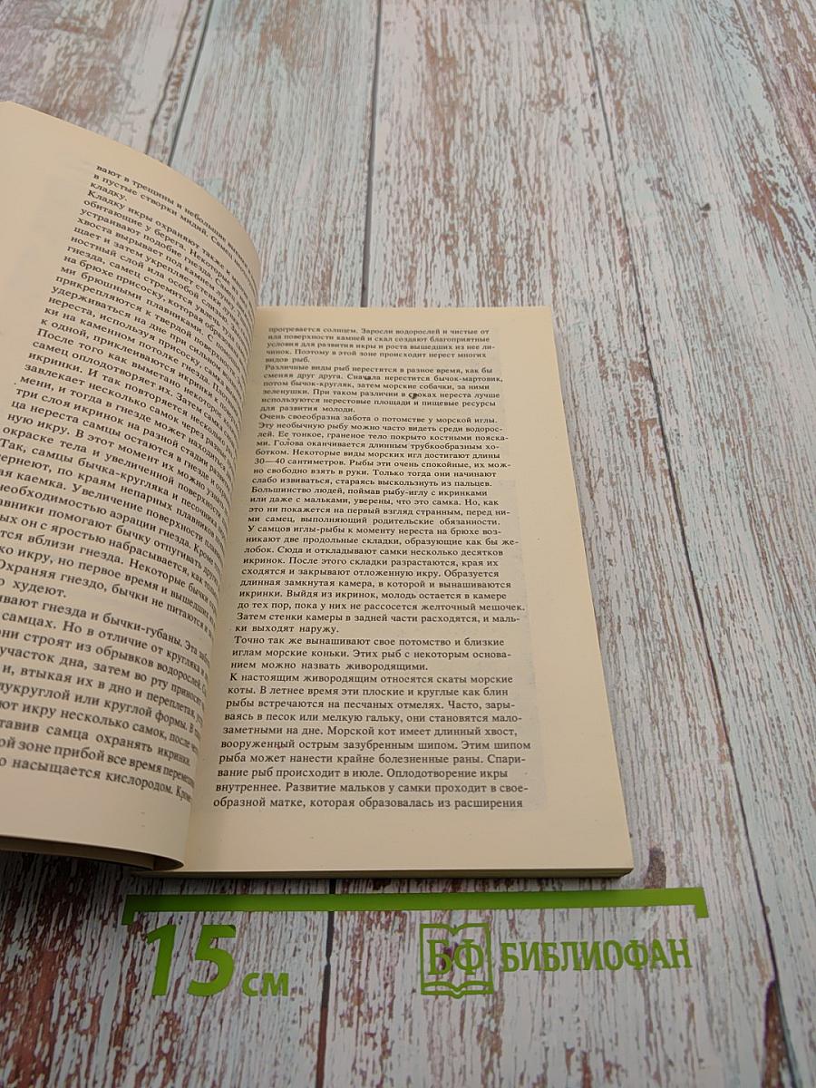 На кромке океана