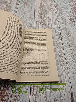 На кромке океана