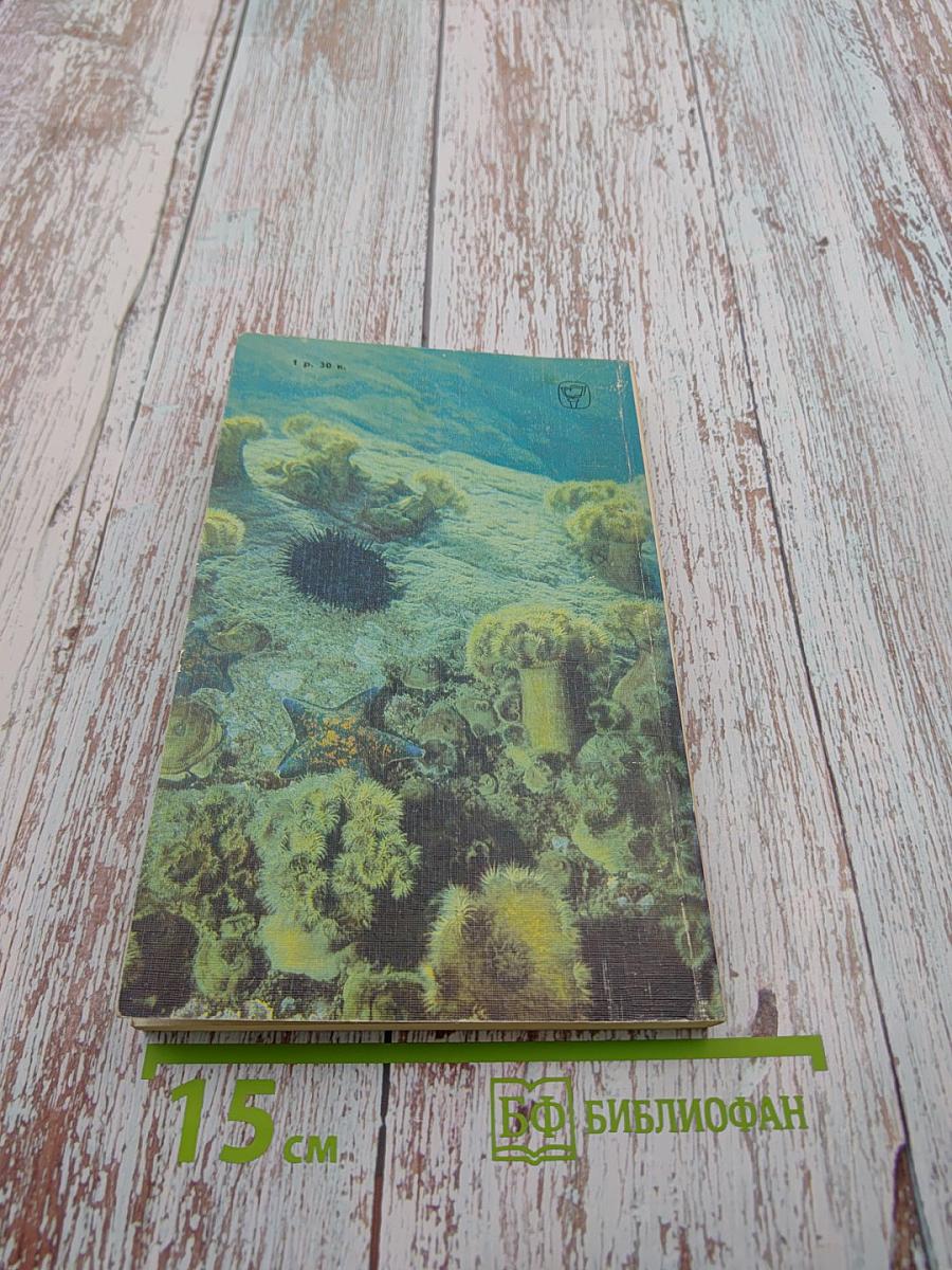 На кромке океана