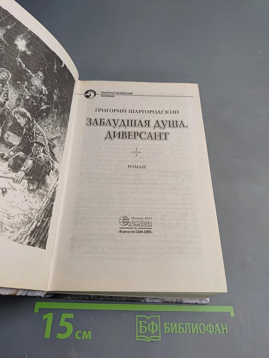 Заблудшая душа. Диверсант